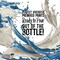 Pouring Masters Blue/Gold Iridescent Special Effectsr Acrylic Pouring Paint - Premium 32-Ounce Pre-Mixed Fluid Acrylic Paint - Fluid Art Supplies for Canvas, Wood, Paper, Tile & Rocks